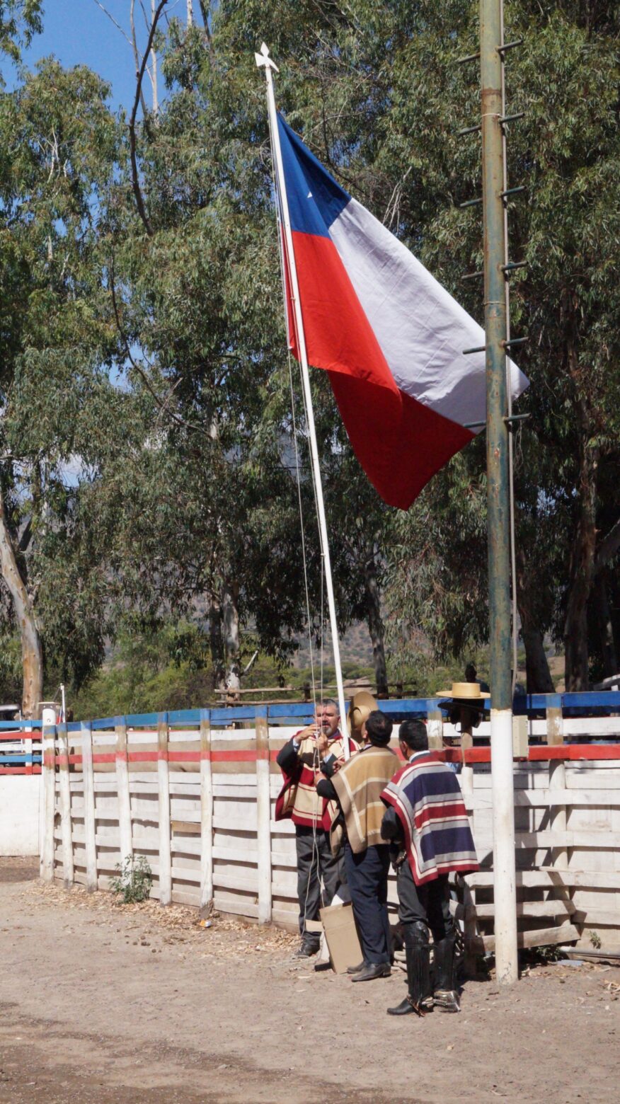 El Club Bellavista de Paine realizó su rodeo oficial