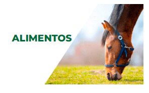 alimentos