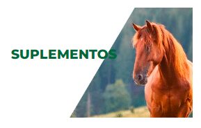 suplementos