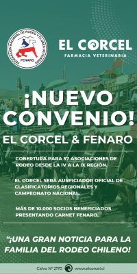 Afiche Corcel
