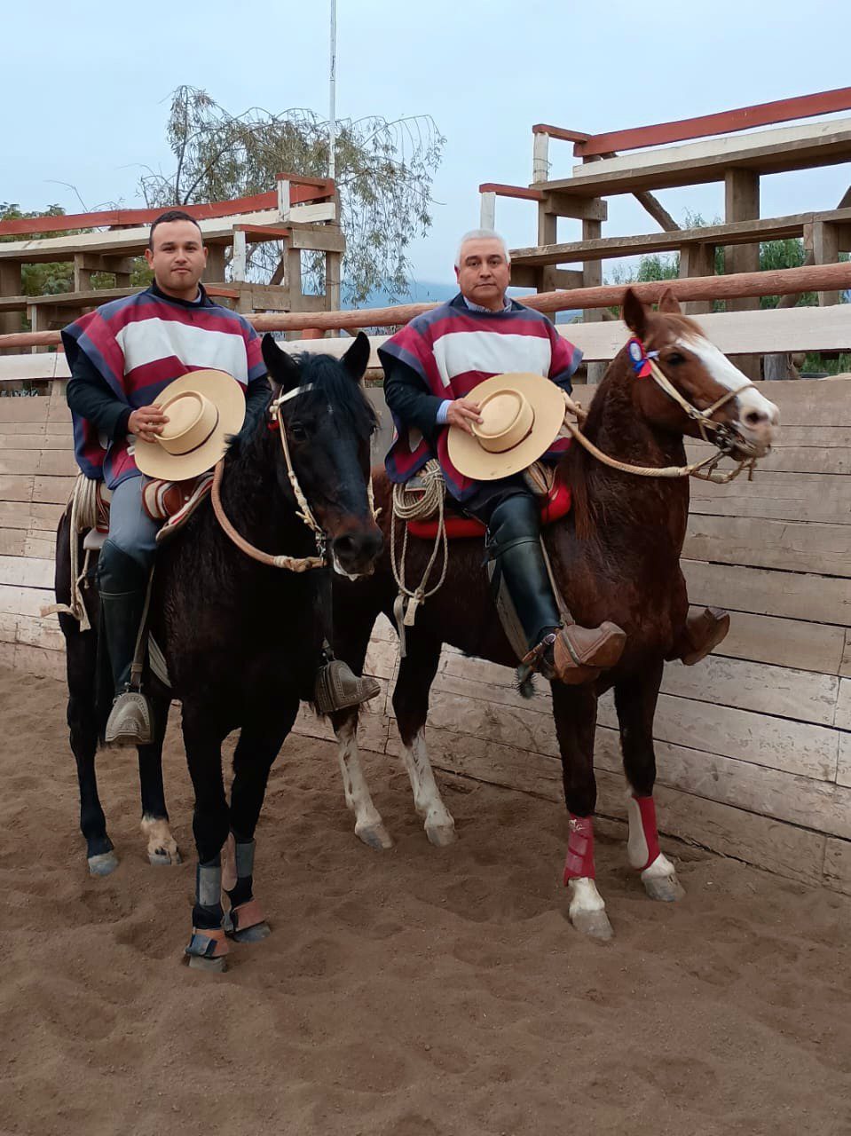 Resultado Rodeo Club Renacer de Marquesa, Asociación Valle del Elqui