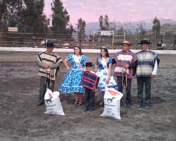 Resultado Rodeo Club Los Criollos de Calle Larga, Asociación Calle Larga
