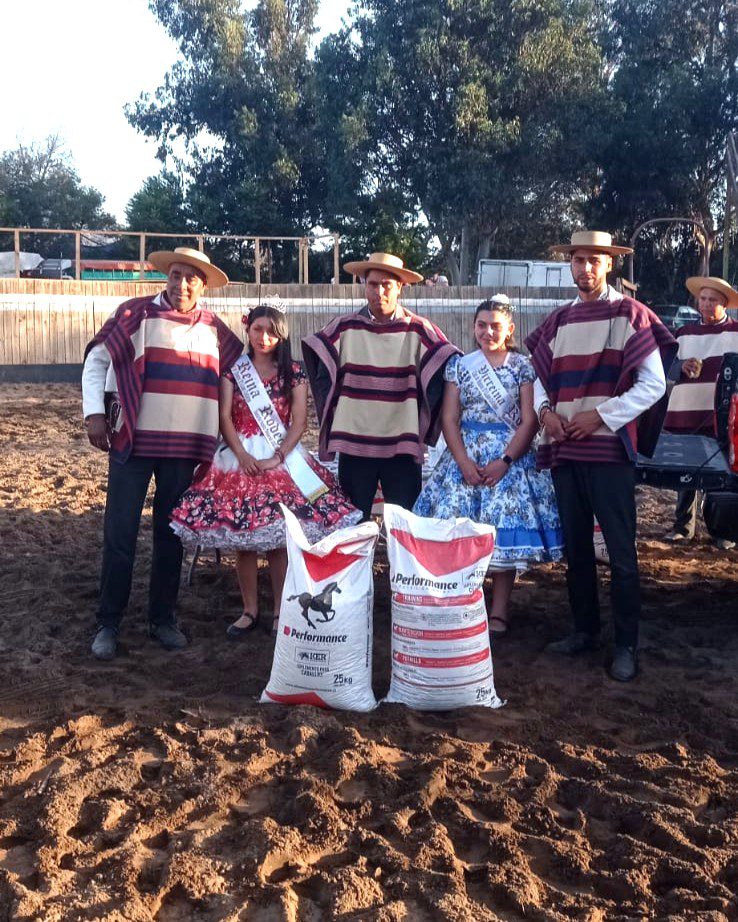 Resultado Club El Llano de Collahue, Asociación Nogales