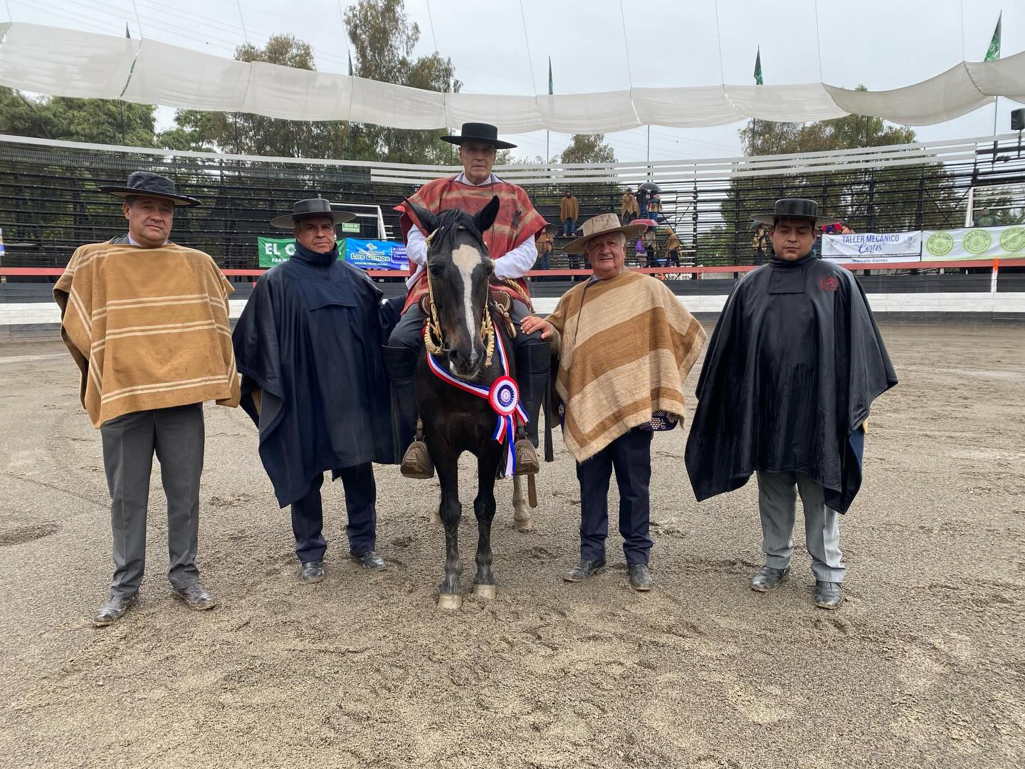 Amador Maureira es el nuevo Tricampeón Nacional del Movimiento a la Rienda de Fenaro