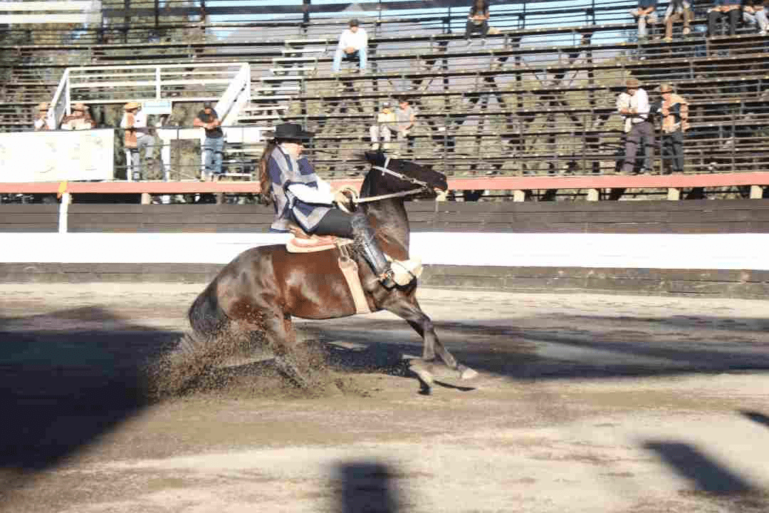 Preselección del Movimiento de la Rienda Femenina