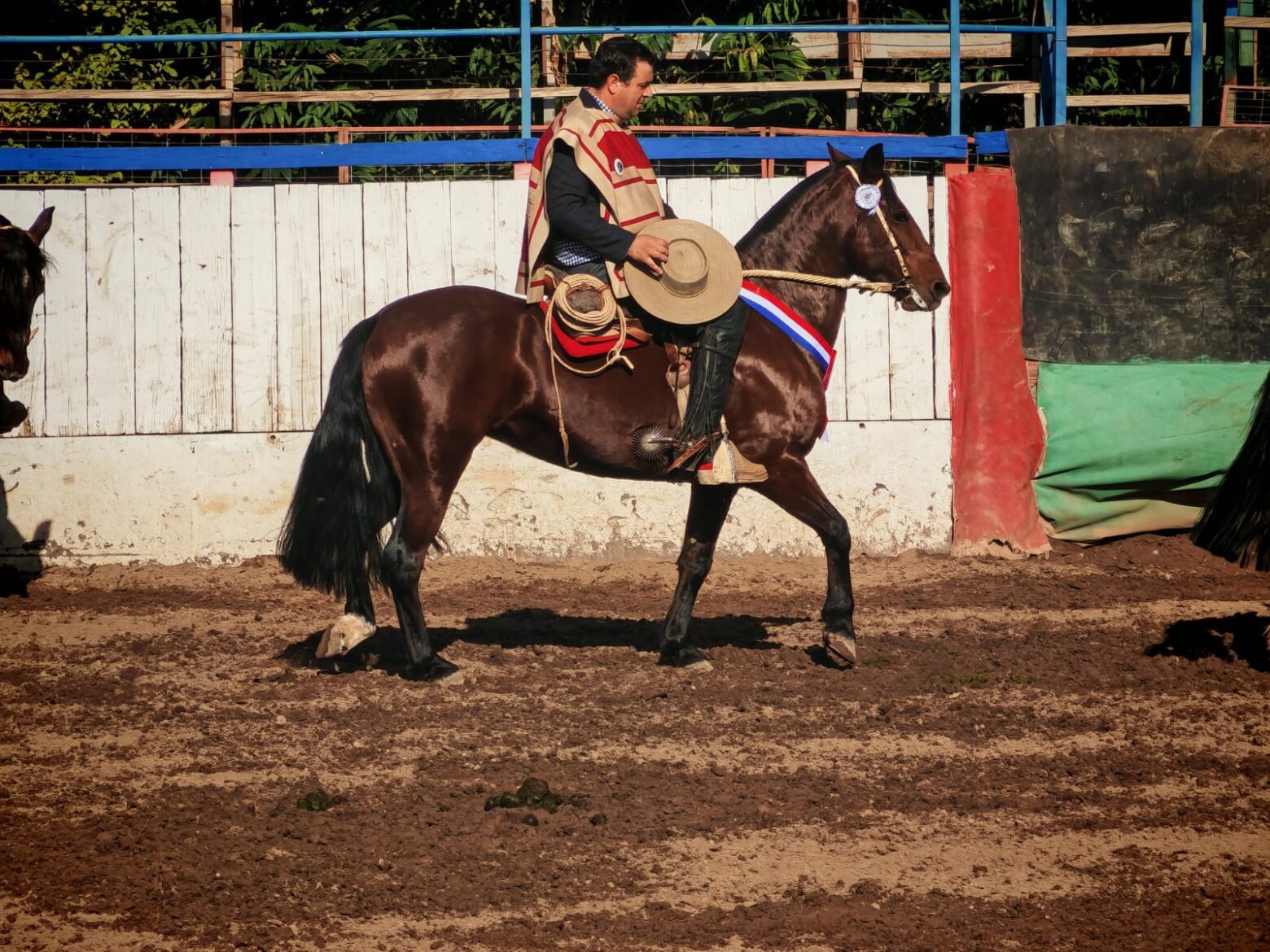 Resultado Rodeo Club Laboral Colina, Asociación Santiago Norte
