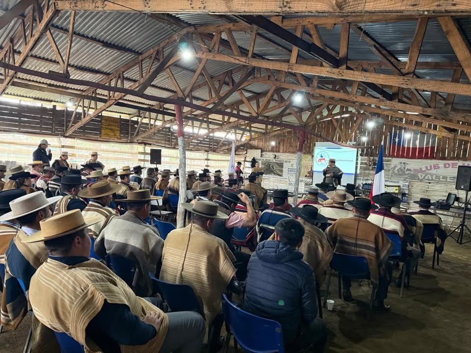 Charla Técnica Asociación Talagante Sur Poniente y Asociación Isla de Maipo Temporada 2026-2027 Fenaro