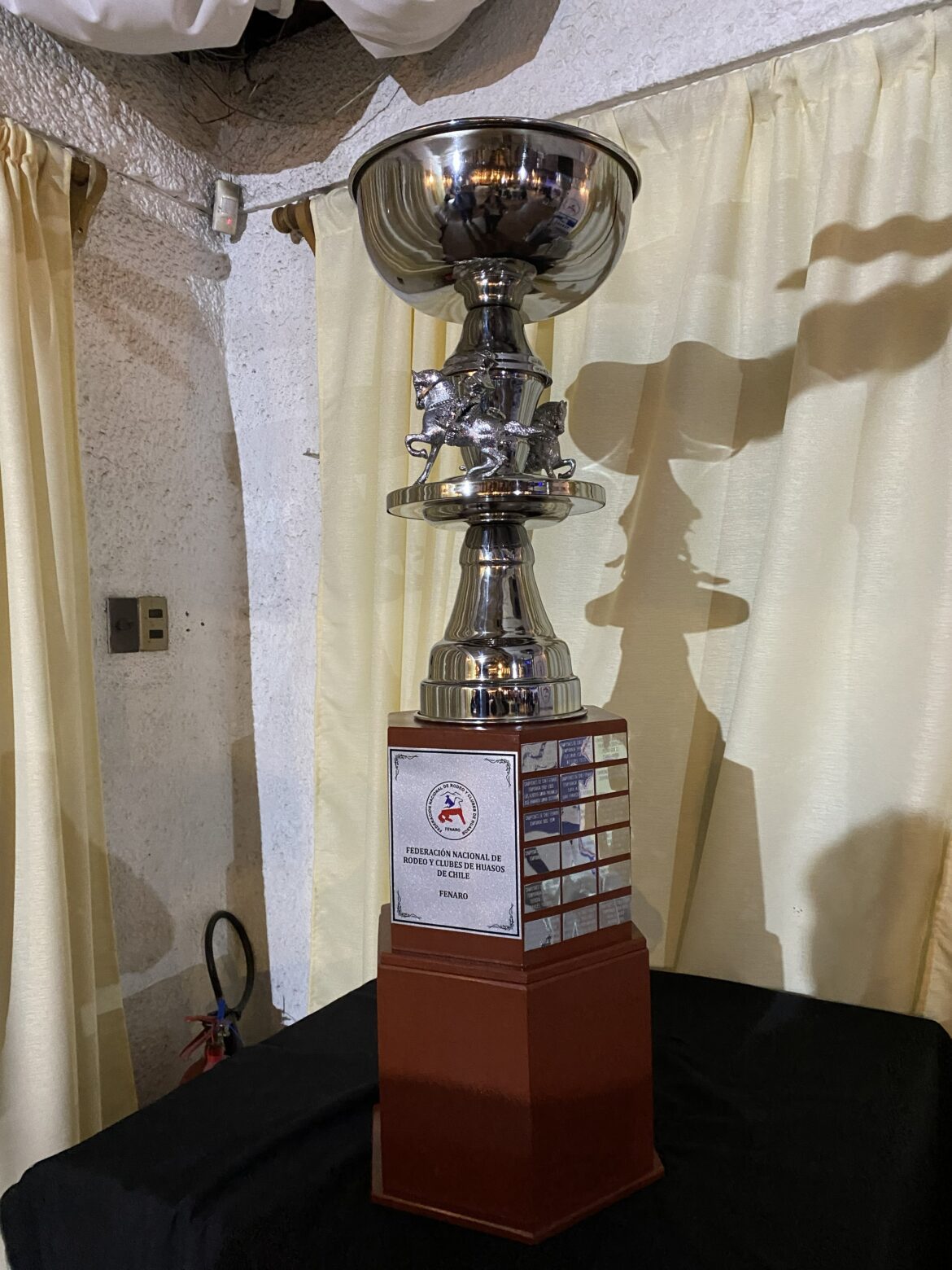 “Copa Fenaro” Nace una nueva tradición